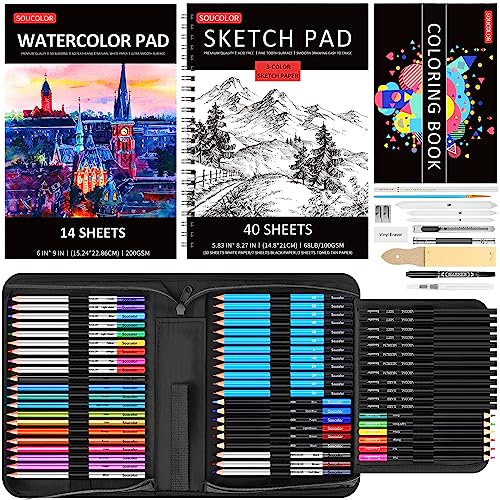 Soucolor 73 Art Supplies for Adults Kids, Art Kit Drawing Supplies Ske –  WoodArtSupply