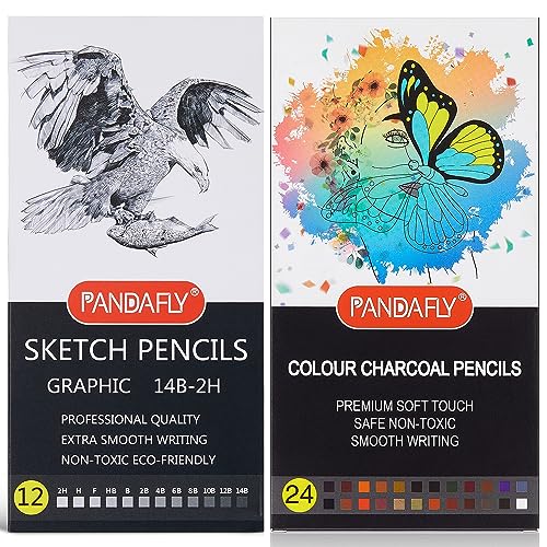  PANDAFLY 80 Pack Drawing Set Sketching Kit, Pro Art Supplies  with 3-Color Sketchbook, Watercolor Pad, Colored, Graphite, Charcoal,  Metallic Pencil, for Artist Adults Kids Beginner : Arts, Crafts & Sewing