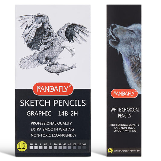 PANDAFLY 80 Pack Drawing Set Sketching Kit, Pro Art Supplies with 3-Color  Sketchbook, Watercolor Pad, Colored, Graphite, Charcoal, Metallic Pencil