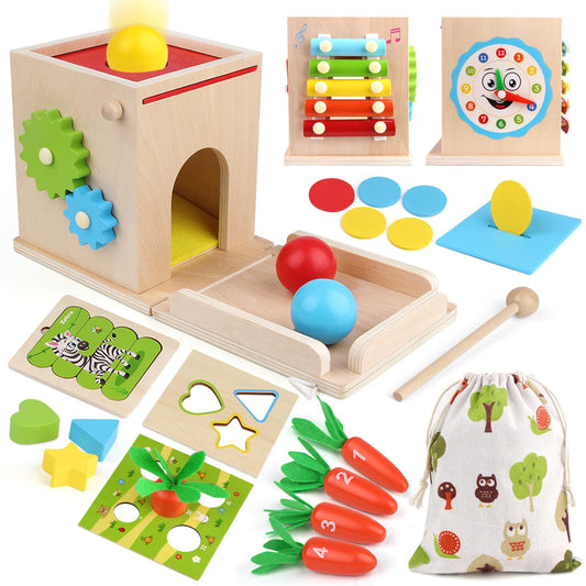 BESTAMTOY Wooden Montessori Toy for 1+ Year Old, Shape Sorter,Object  Permanence Box, Coin Box