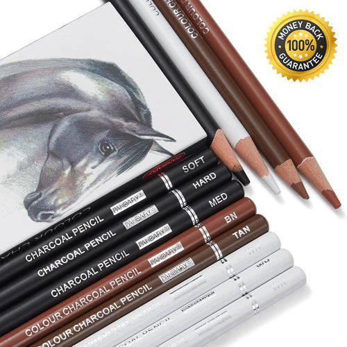 PANDAFLY Professional Charcoal Pencils Drawing Set - 8 Pieces Super Soft,  Soft, Medium and Hard Charcoal Pencils for Drawing, Sketching, Shading,  Artist Pencils for Beginners & Artists 