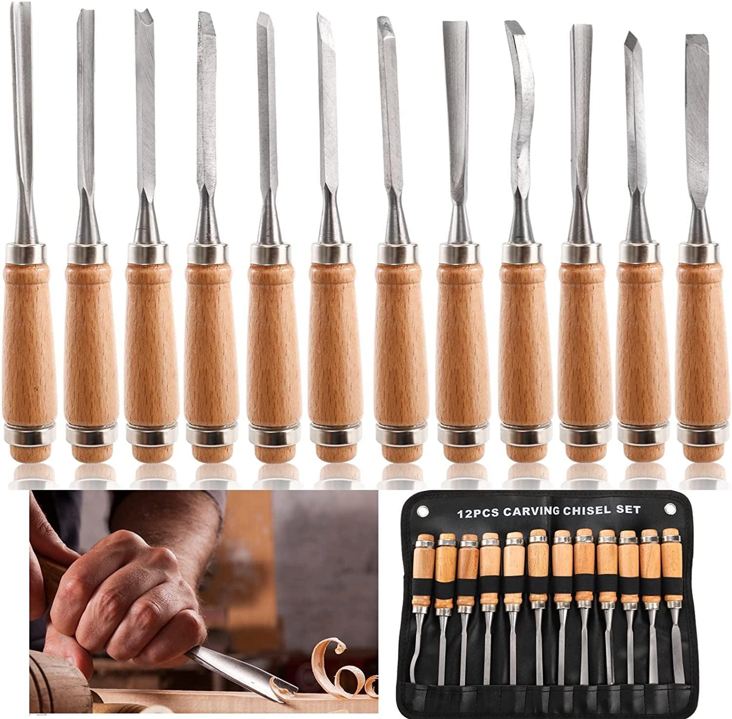 Chiyuehe Professional Wood Carving Chisel Set - 12 Piece Sharp Woodworking  Tools w/Carrying Case - Great for Beginners