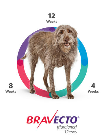 Bravecto Chew For Dogs