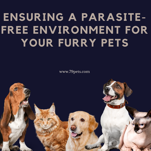 Ensuring a Parasite-Free Environment for Your Furry Pets