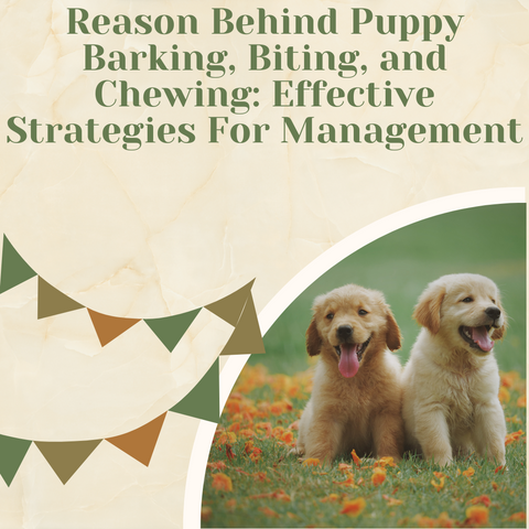 Reason Behind Puppy Barking, Biting, and Chewing Effective Strategies For Management