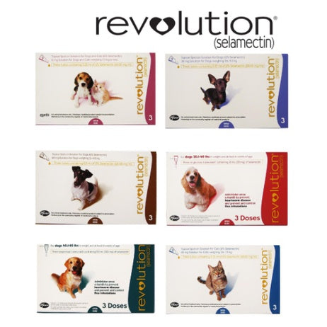 Revolution Spot-on For Dogs & Cats