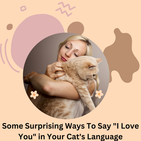 Some Surprising Ways To Say I Love You in Your Cat's Language