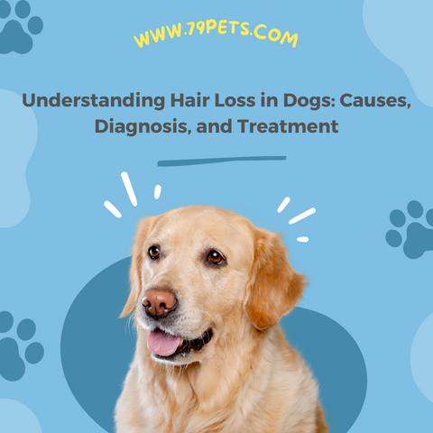 Understanding Hair Loss in Dogs Causes, Diagnosis, and Treatment