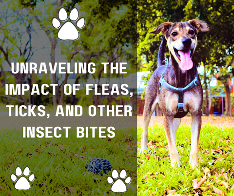 Unraveling the Impact of Fleas, Ticks, and Other Insect Bites