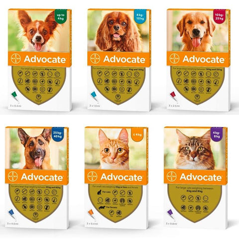 advocate (advantage multi) for cats and dogs