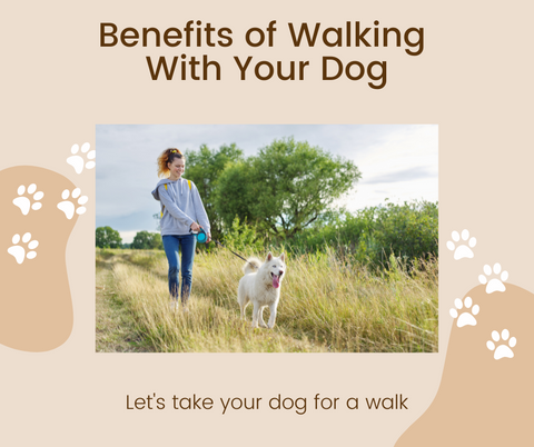 Benefits of Walking With Your Dog