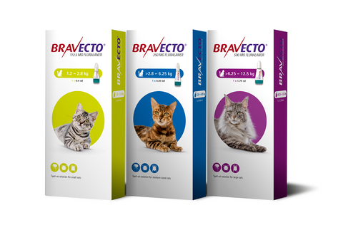 Bravecto Spot-on For Cats