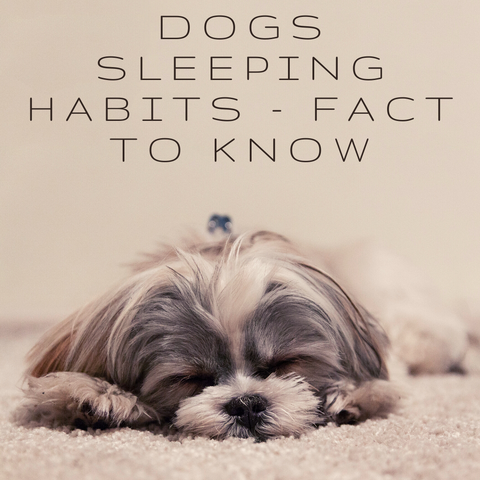 Facts to Know About Dogs - Sleeping Habits