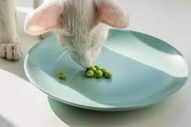 Can cat eat peas?