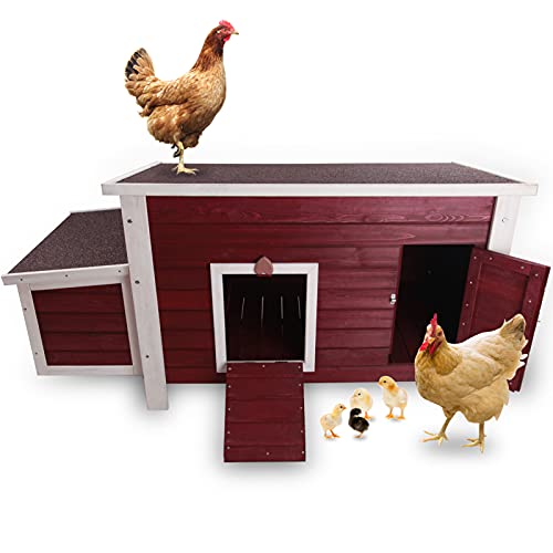 Precision Pet 7029287 Double Nesting Box