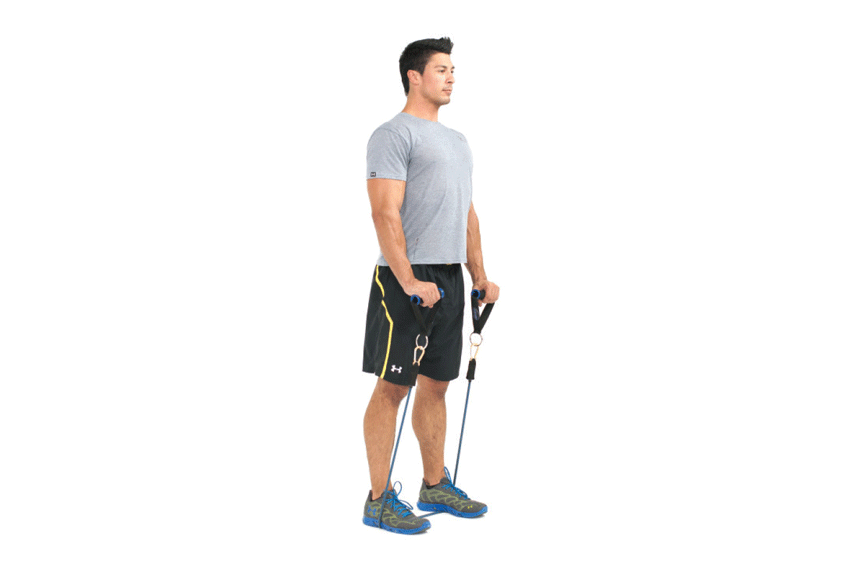 Bicep workouts at home resistance bands 2025