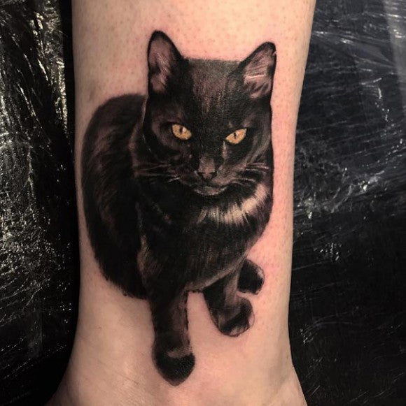 Tatouage de chat noir hyperréaliste, par Paulo Lopes