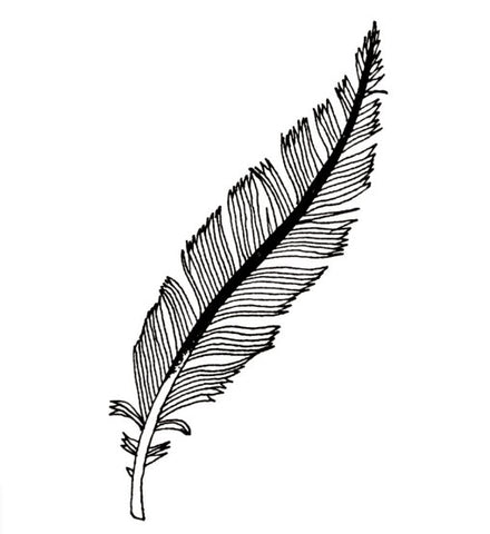 Black Feather Tattoo – Tattoo for a week