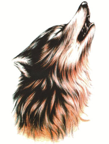 200 Wolf Tattoo Ideas With Meanings and History  Tattoo Stylist