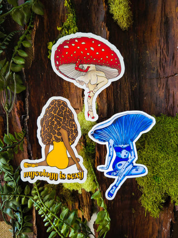 Mushroom Pinup Girls
