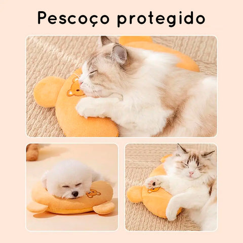 Pescocinho protegido com o travesseiro para pets super macio