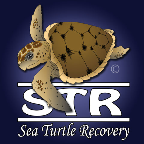 Sea Turtle Recovery Logo