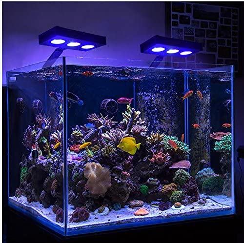 Kalmerend Becks Verheugen A029 AquaKnight-30Watts led Aquarium light with Touch Control, 3W/5W L –  hipargero