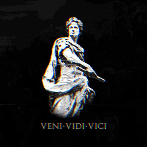 Latin quote Veni, vidi, vici on stone background, 3d