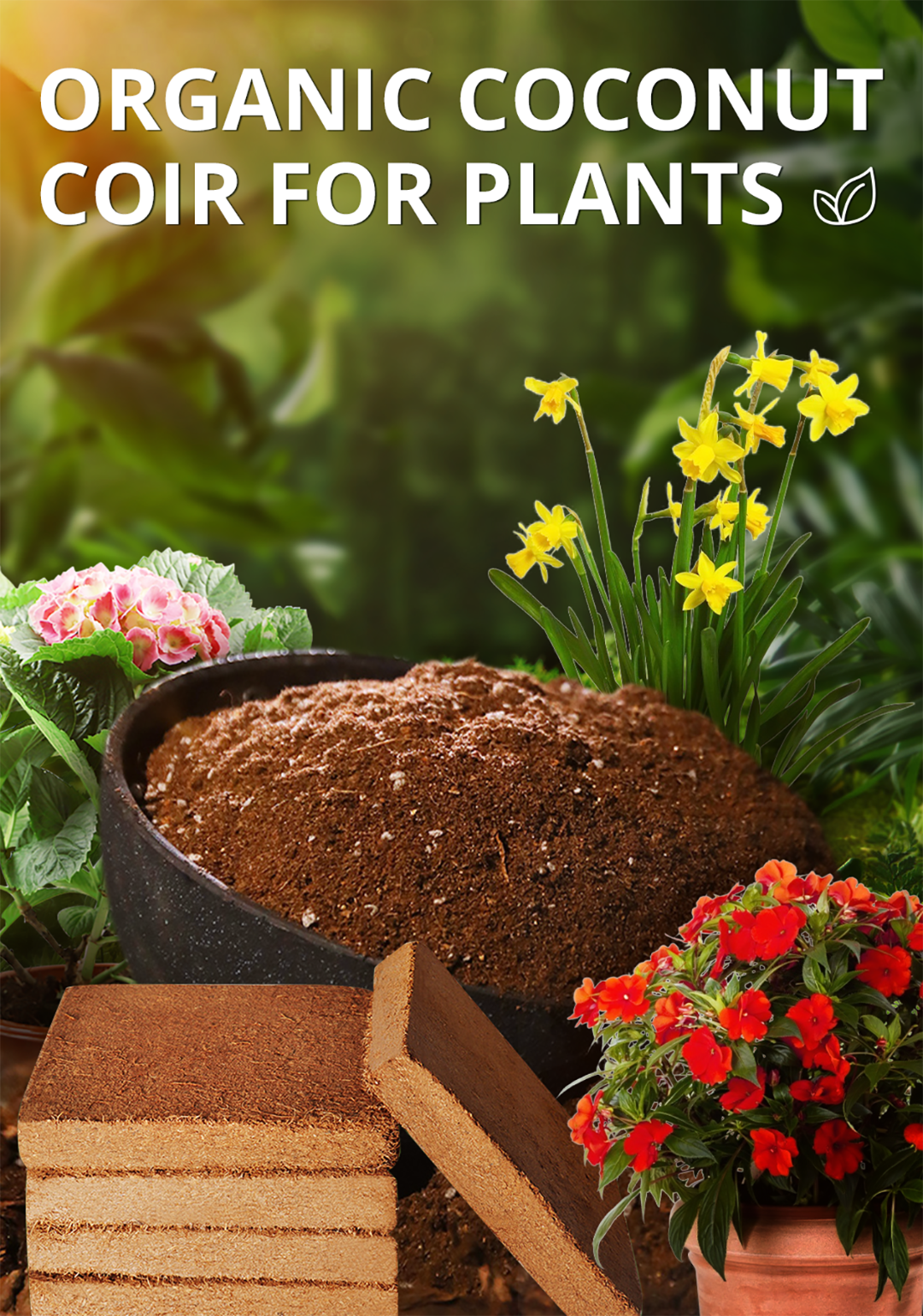 🔥Hot Sale 50% OFF🔥Organic Coconut Coir for Plants – seagche