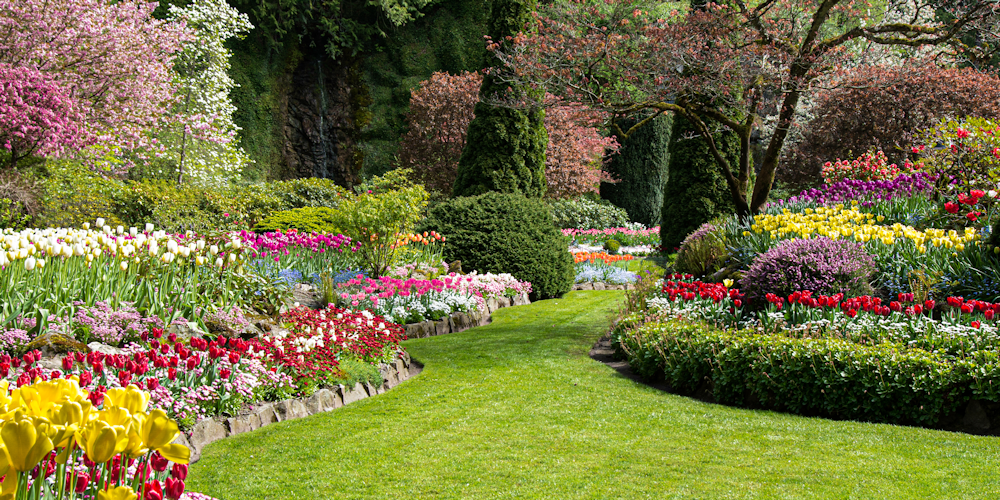 Take a Charleston Garden Tour