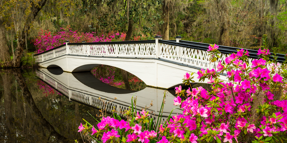 Tour the Magnolia Plantation and Gardens