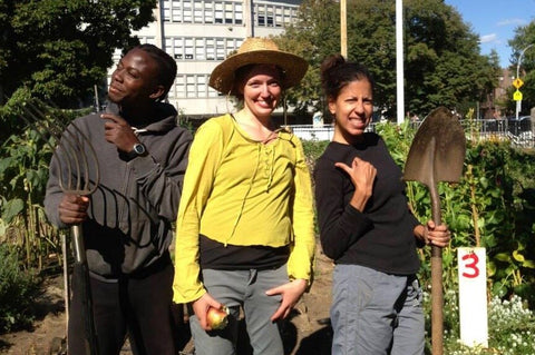 Urban agriculture students at The Youth Farm Crown Heights Brooklyn The High School for Public Service Wingate urban flower farm