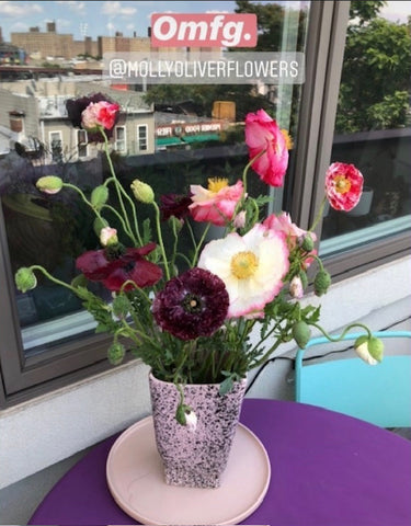Shirley poppies in vase nyc balcony OMG seasonal flower project brooklyn flower subscription nyc molly oliver flowers