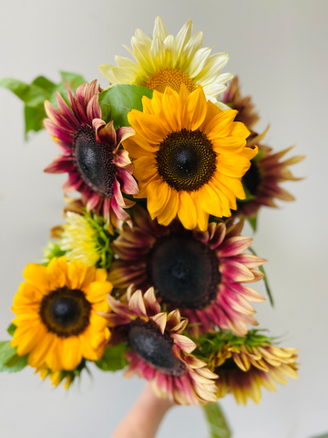 Fall Seasonal Flowers Mixed bouquet of heirloom Sunflowers Pro Cut Plum