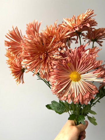 Molly Oliver Flowers Fall Seasonal Flowers bouquet of Heirloom Mum Peach Centerpiece