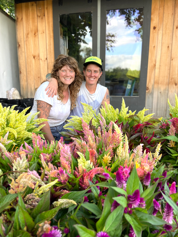 Rebecca Maillet and Kel Komenda of Many Graces Farm in Hadley, MA with Celosia