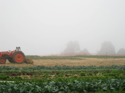 University of California - Santa Cruz organic farm Certificate in Ecological Horticulture