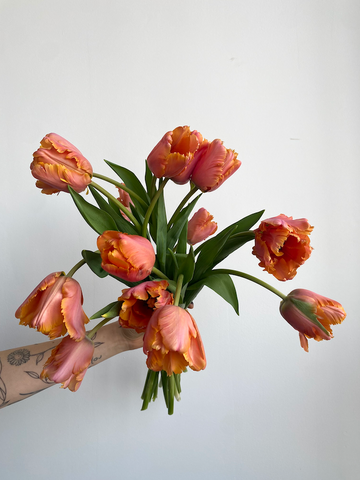 Amazing Parrot tulips cheap summer flowers brooklyn flowers winter tulips bouquet subscription delivery