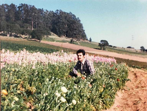 Camflor family farm California floriculture history of regenerative sustainable agriculture mollyoliverflowers