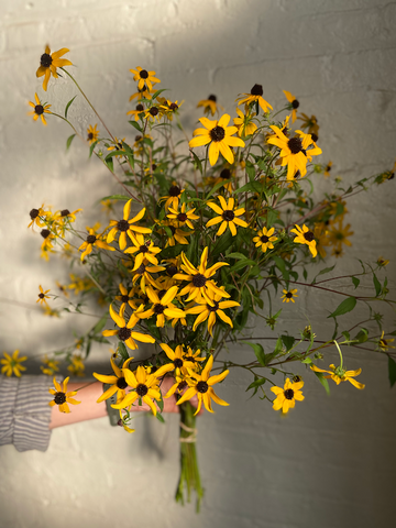 Molly Oliver Flowers seasonal flower subscription fall bouquet of Rudbekia Triloba from Many Graces Farm