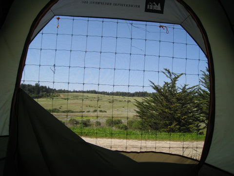 The view from Molly Oliver’s tent at the UCSC Center for Agroecology Farm and Garden