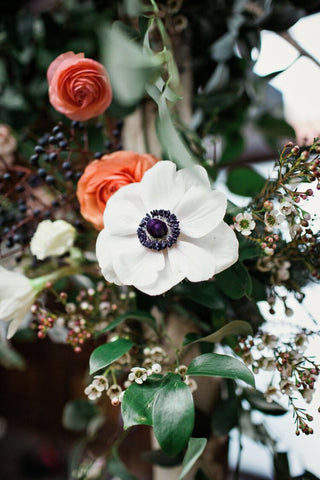 Chuppah flowers Anemone Salmon Ranunculus Wax flower Vibernum berry