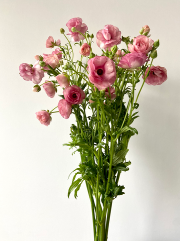 butterfly ranunculus rose pink bouquet molly oliver flowers best sustainable monthly subscription