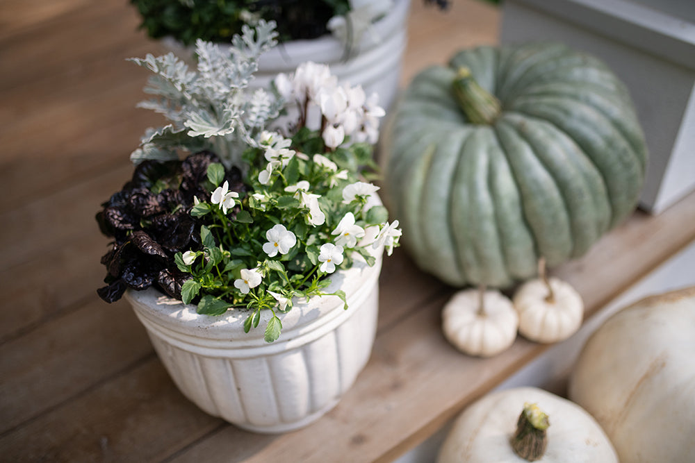 fall porch by West Coast Gardens