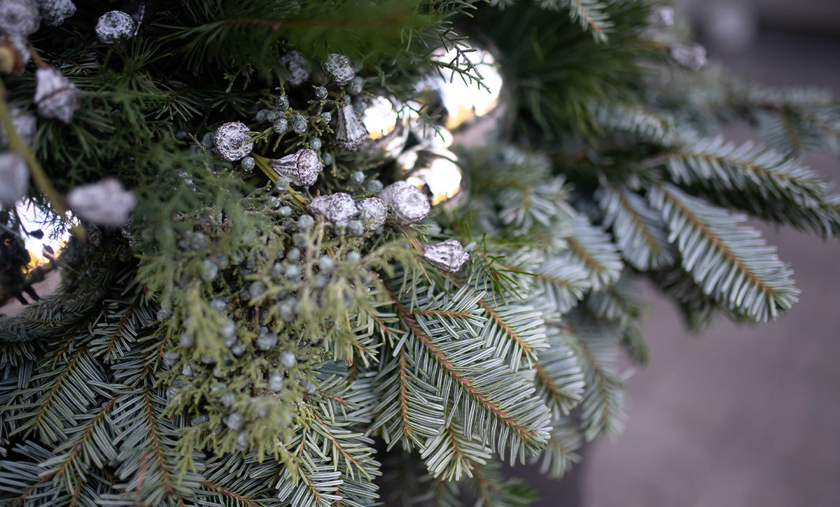 winter planter in silver and white