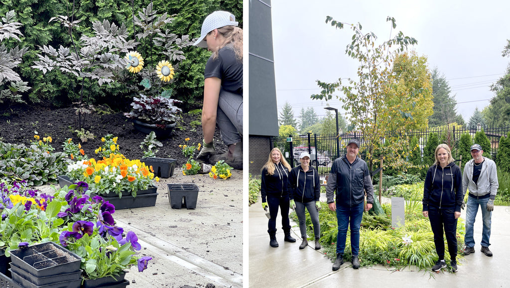 Helping with Peace Arch Gardens in Surrey