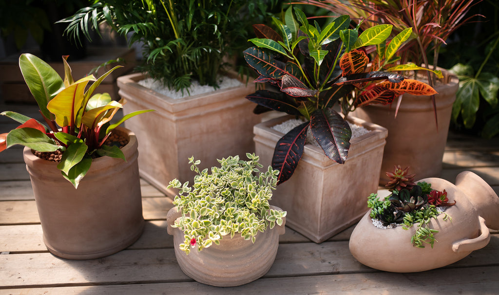 terra cotta pots on the patio