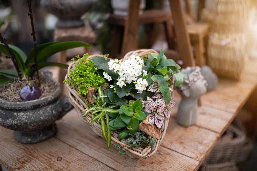 heart planter