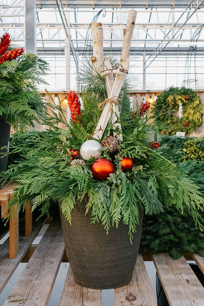 Incorporating Winter Greenery Into Your Christmas Decor – West Coast Gardens