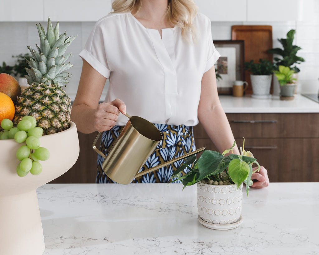 mid century modern kitchen and plants